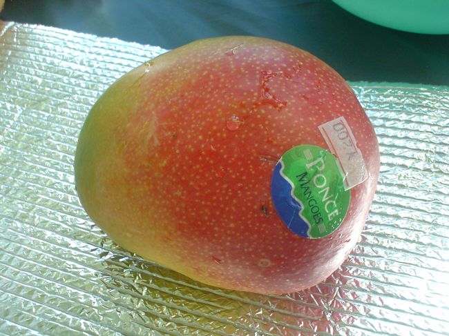 予想外に今日は走って47キロ！<br /><br />途中夫婦の大喧嘩もしたので、<br />体力、気力を使って、<br />お腹ヘロヘロになって到着。 <br /><br />とりあえず空腹すぎるので夕食を作る前に<br />マンゴーやヨーグルトをむさぼり食っていると・・・