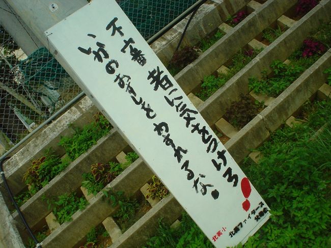 こんな標識がありました。