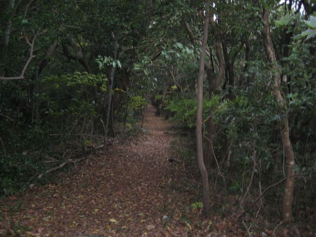 自然の状態を保つ島の国有林です。登らない人用に頂上までバスの送迎コースもあります。