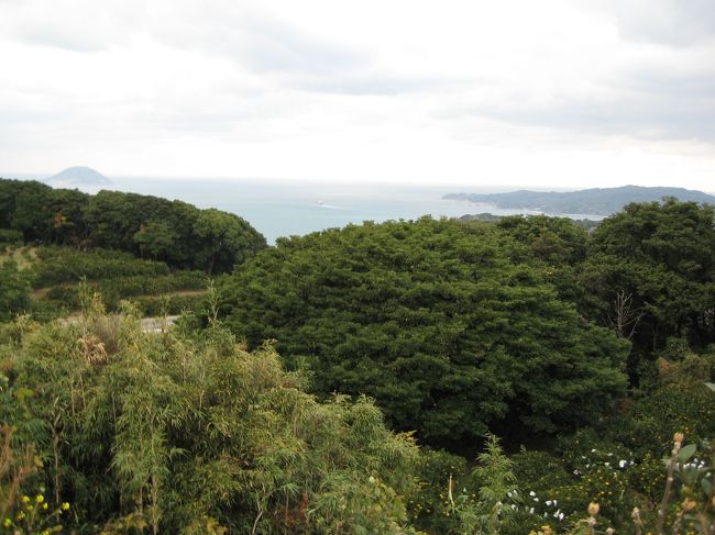 頂上付近です。この日は、天気もよかったので福岡ヤフージャパンドームもよく見えました。