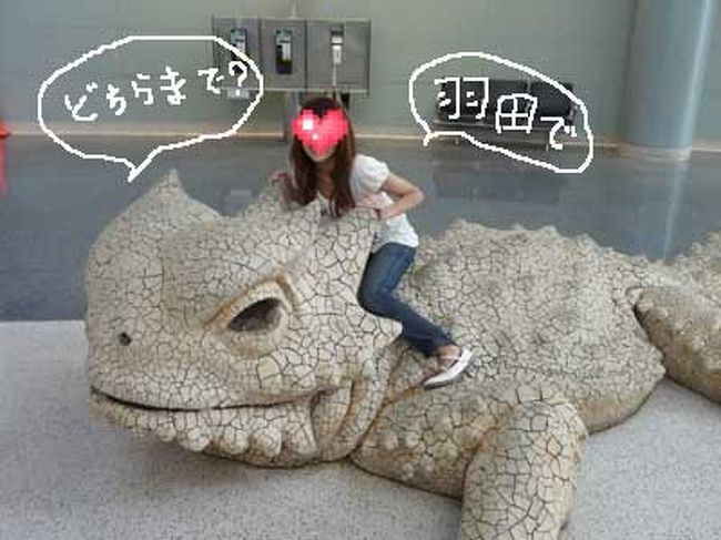 日本へはコイツに乗って帰ります。