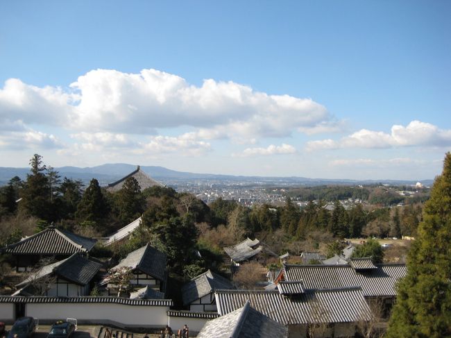東大寺の上の方に登ってみました。お正月の晴れって本当に気持ちいいですね。冬の陽が暖かく、ゆるやかな風がとても気持ちよく吹いています。
