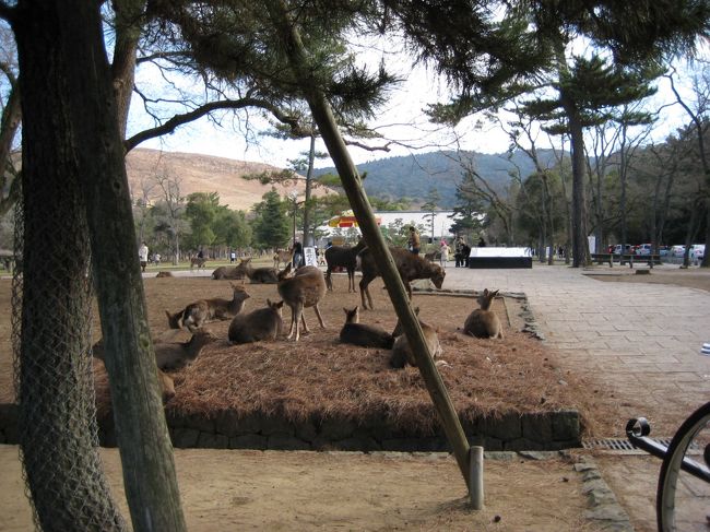 みんな集まって日向ぼっこ。