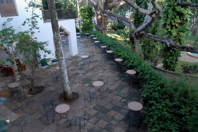 かっこいいガーデン。