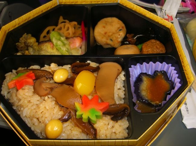 まずは駅弁でしょう！<br />秋なので、秋らしい紅葉弁当です。