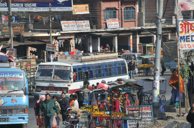 １０：１５〜１０：２０　　ムグリンにてミカン購入