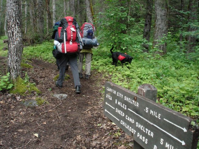 キャニオンシティポイントでは休まず、そのまま通過。（12：40pm）