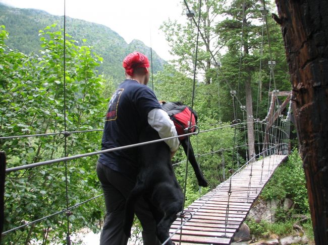 犬が橋の隙間から見える川を怖がって渡れないので、抱えてなんとか突破。