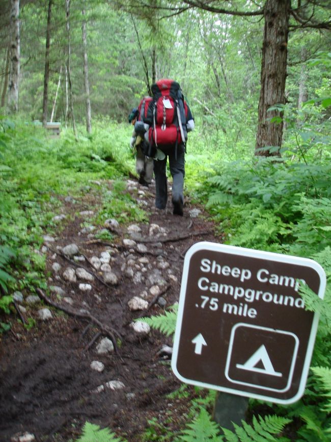 「シープキャンプまで0.75マイル」<br />やっとこのサインが見えた・・・。<br />その後は狂ったように早歩きしました。<br /><br />翌日の登頂に向けて、殆どの登山者がこのシープキャンプに泊まるので、よいキャンプスポットを獲得するために、走り出す人までいます。<br />出発してから18.9km、8時間。みんなどこにそんなパワーがあるのか？<br /><br />しかしこの0.75マイルの長いこと、長いこと。この世で一番長く感じた0.75マイルです。（3：30pm）
