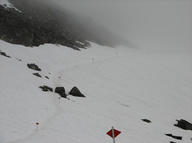 山頂を越えたら、ひたすら山を下ります。<br />登山者がトレイルをはずれないように、旗が立ててあります。