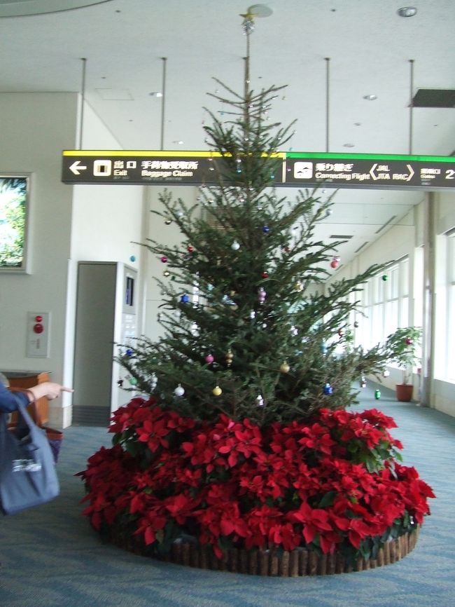１０ヶ月ぶりの那覇空港<br /><br />クリスマスツリーが可愛い☆<br /><br />そして、、、<br />暖かいわぁ☆