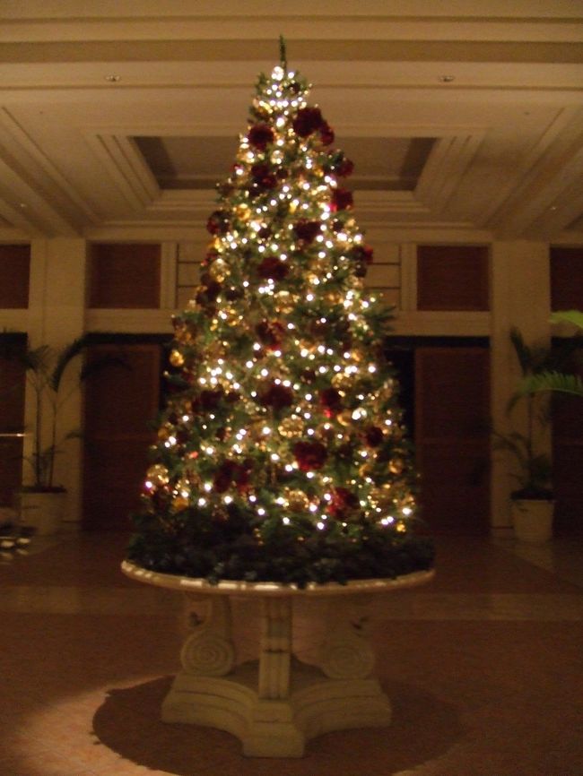 クリスマス前だったので、ロビーにはツリーが飾ってました。<br /><br />ステキっ☆