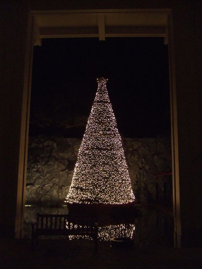 ホテルへ戻り、、<br />ちょっと散策。<br /><br />このツリーもステキでした☆