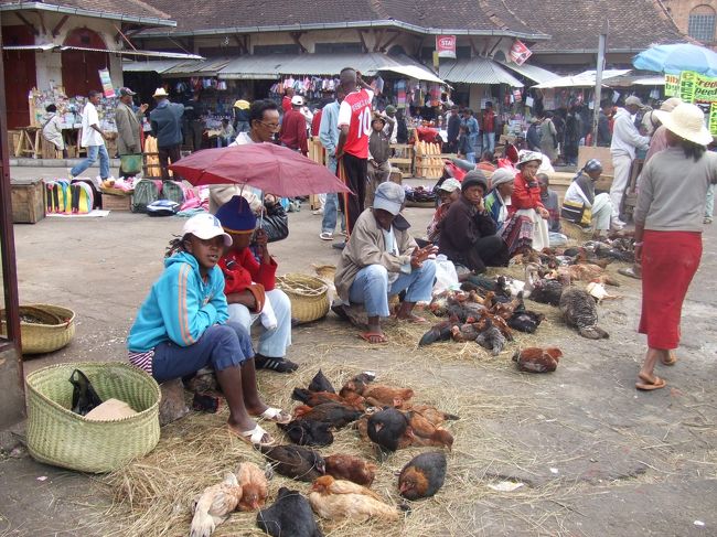 タナの市場での一コマ。<br />普通に鶏とかが売っててその横でフランスパンが売ってました！<br />さすが元フランス領！