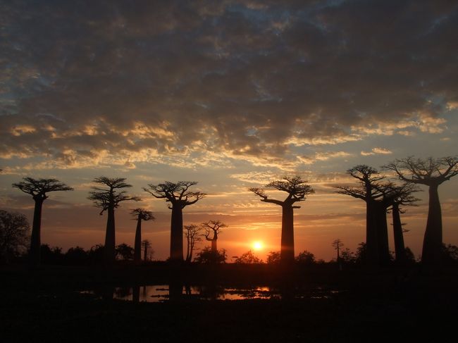 サンセット…<br />美しすぎる…<br />ほんとに圧巻です。<br /><br />そして、アフリカの夕陽はオレンジからピンクへと変化を遂げるのです…