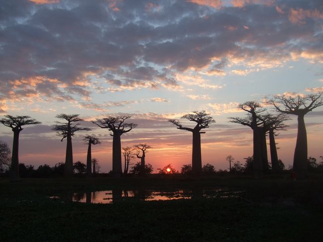 だんだんピンクが強くなってくる…<br />どうしてなんだろ。<br /><br />アフリカって不思議だぁ。<br />でも、だから大好きだぁ☆