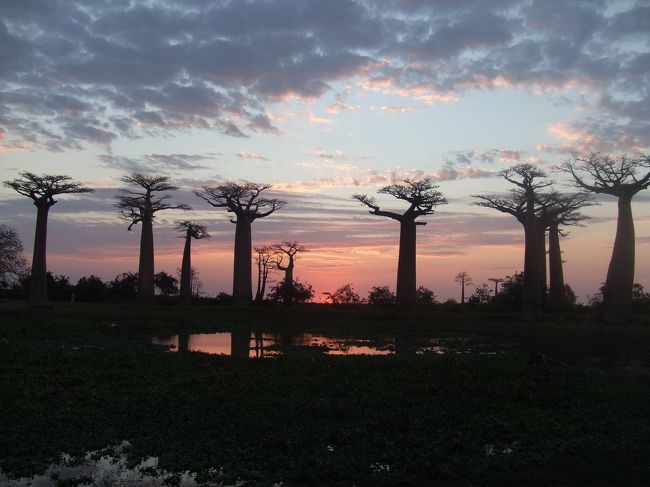 もうだいぶ日没。<br /><br />本当に素敵な素敵なサンセットでした。