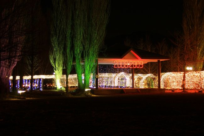 河口湖大池公園のイルミネーション<br /><br />とても綺麗でした。<br />