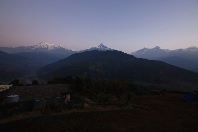 朝5時に起きロビーの前の庭でカメラに三脚をつけて待ちました。