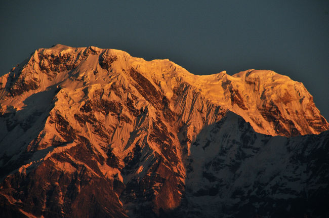 サウスのズーム