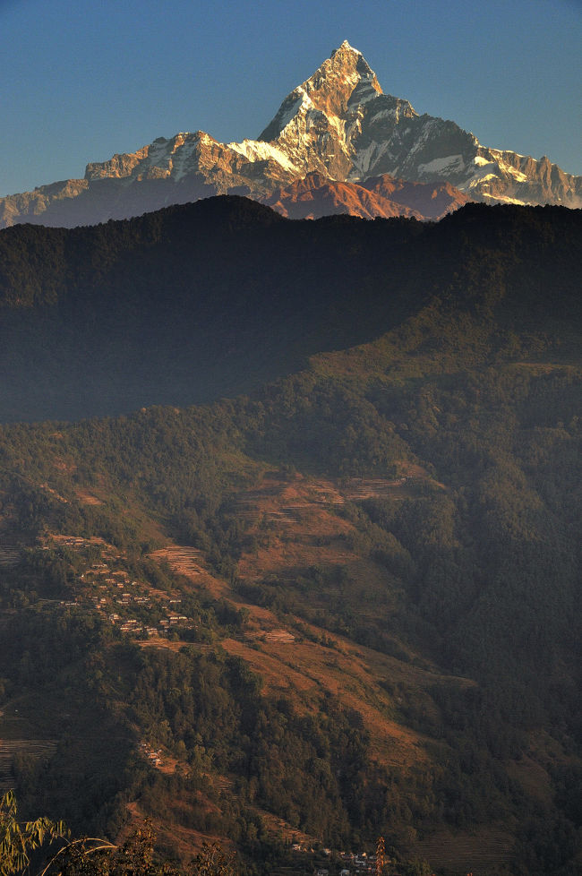 山の形が良いことと目の前にあるため、ここアスタムコットややポカラから見ると、一番存在感があります。