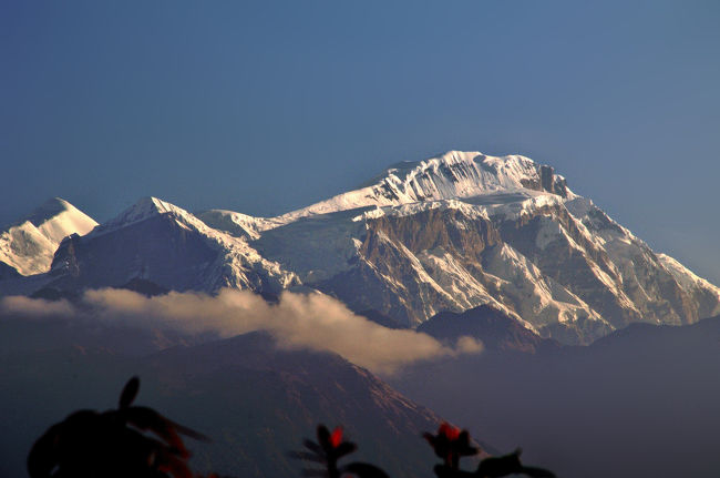 その右側、太陽に対して一番前面になるので日が昇ると見えにくくなります。