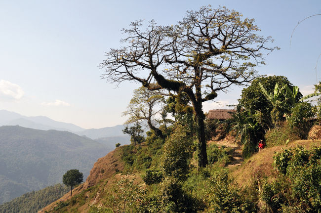 だいぶ登ってきました。