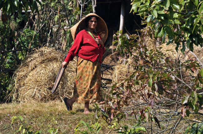 こんな高いところにも家が・・・　買い物が大変だろうな〜