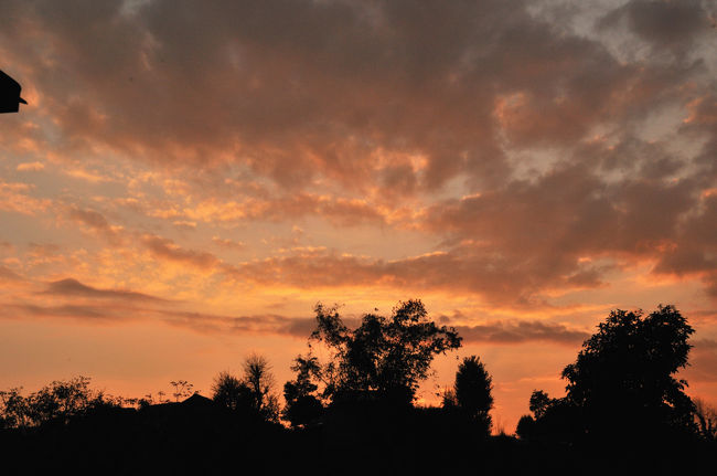 はなのいえに戻り、夕食まで休息。　毎日夜まで移動で揺られた疲れを癒しました。