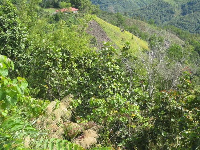 展望台から<br />