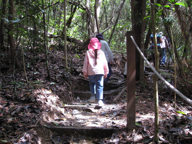 オラウータンを見に。<br />思ったほど蚊はいない。<br />私は１ヶ所もさされなかった。<br />欧米の方でキャミソールをきていた人は<br />背中に蚊にさされた跡があったが、<br />ほんの1-2ヶ所。<br /><br />