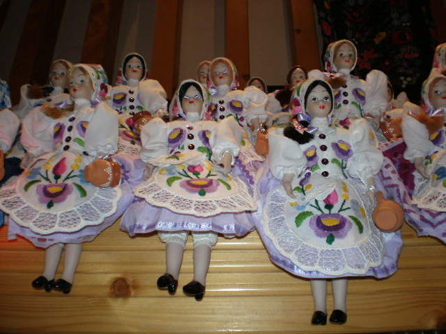 あまりにもかわいくってどの子も選べないので写真に撮って皆持ち帰りました