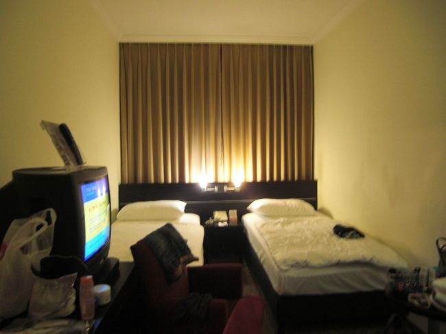 ホテルはラマダ・ブダペスト。ホテルの部屋は天井が高くて気持ちいい。キレイだし。