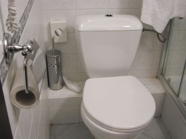 トイレはなんか旧式。3日目には故障してしまい、部屋を代わる事に。