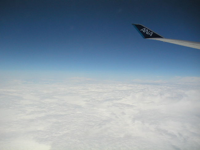 2003/7/24 Thu.<br /><br />NH009で帰国の途へ。<br /><br />2003/7/25 Fri.<br /><br />帰国。初の海外一人旅も無事終了。<br /><br />NYの印象は・・・とにかくインパクトが強すぎる。<br />見るもの、聞くもの、・・・全ての物事が。<br />だから、ハマる。また行きたい。<br />いつの日か、必ず。