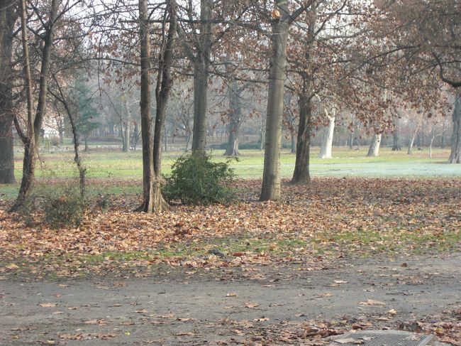 ここから自然と公園につながります。散歩している人もちらほら。