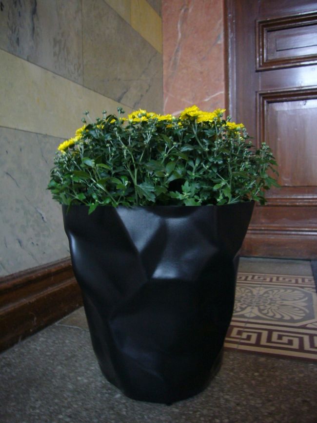 　館内にさりげなく飾ってある花。（鉢に注目。）