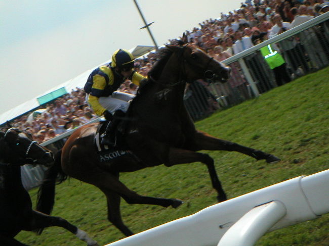 買った馬券は当たりませんでしたが、本場英国の競馬の雰囲気を楽しむことができて、大満足な1日でした。