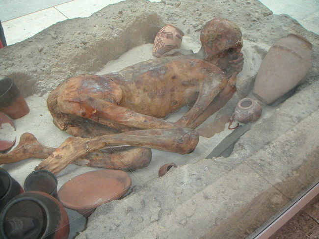 ミイラも展示されていました。<br /><br />古代のものとは思えないほど、完全な形で残っています。<br /><br />しかし、大英博物館は奥が深すぎる。とても1日では回りきれない・・・。