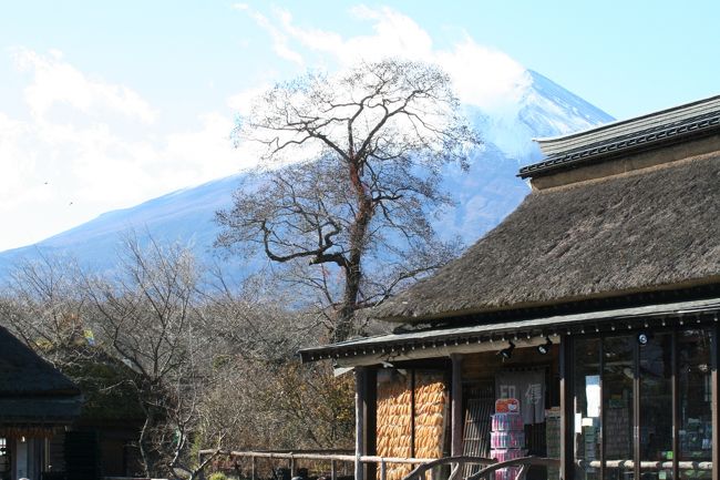 忍野八海から望む富士山。富士山はどこから見ても美しいですね。