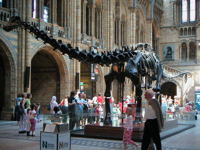 2005/6/24 Fri.<br /><br />ロンドン最終日。夕方の便で日本へ向かいます。<br />ホテルのフロントに荷物を預け、最後の観光。<br /><br />自然史博物館<br />入口を入るといきなり大きなディプロドカスの化石がお出迎え。<br /><br />