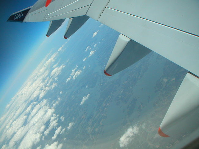 午後、ホテルで荷物を受け取り空港へ。<br /><br />空港へ着くと同時に、滞在中、初めて雨が本格的に降り出しました。ロンドンの女神様も私が日本へ帰ってしまうのを寂しがっているのでしょうか。<br /><br />NH202、定刻通りLHR離陸。<br /><br />2005/6/25 Sat.<br /><br />午後成田着。<br />連日天候にも恵まれ、と言うか、ロンドンにしては珍しく30度の快晴続きで暑すぎました。どこか南の島へ行ってきたかのように真っ黒に日焼けしましたからね。<br />本場の競馬、テニスの雰囲気をたっぷりと味わったし、遅れる、運休するで有名なイギリスの交通機関の乱れにも遭遇しなかったし、その他のトラブルも全くなし。心底楽しむことができました。<br />ロンドンは、人生で一度は行っておかないと損をする、そんな気持ちにさせられる街でした。