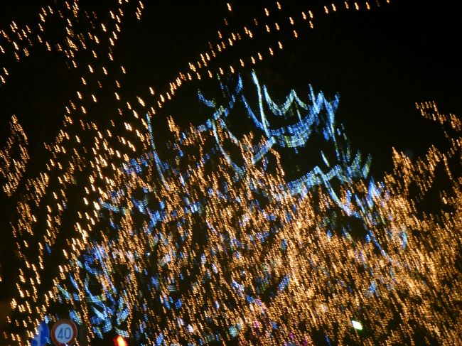 市役所の前のブルーの灯りと一緒に撮影しました。