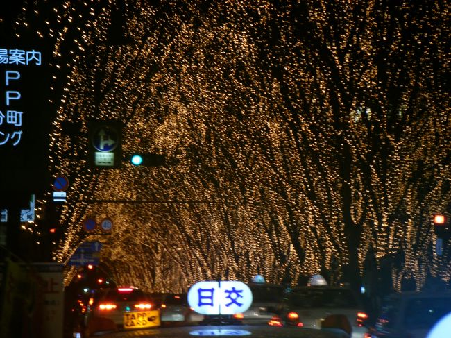 光のトンネルです。