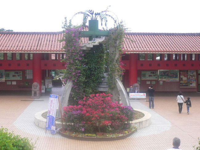 沖縄本島最北端から南へ〜沖縄ワールドまで行きました。<br /><br />ここは今回の旅行で最終日に行く予定だったのですが、主人の意向で「どうしても行きたい所は、先の予定に、、、」との事で・・・。<br /><br />これが結局大当たりでした。　<br /><br />鐘乳同と、スーパーエイサーショー、ハブのショーを見学しました。<br /><br />※写真はありませんが、蛇に初めて触りました。<br />