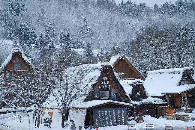 雪に煙る合掌造り、冬の白川郷』白川郷(岐阜県)の旅行記・ブログ