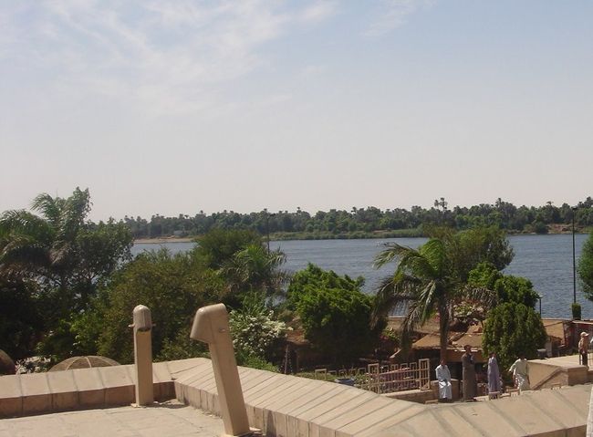 この景色はイメージするナイル川という感じ。