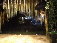 ２０時。雨が降りだす。ツアーガイドは毎年よる雨が降ると言いました。