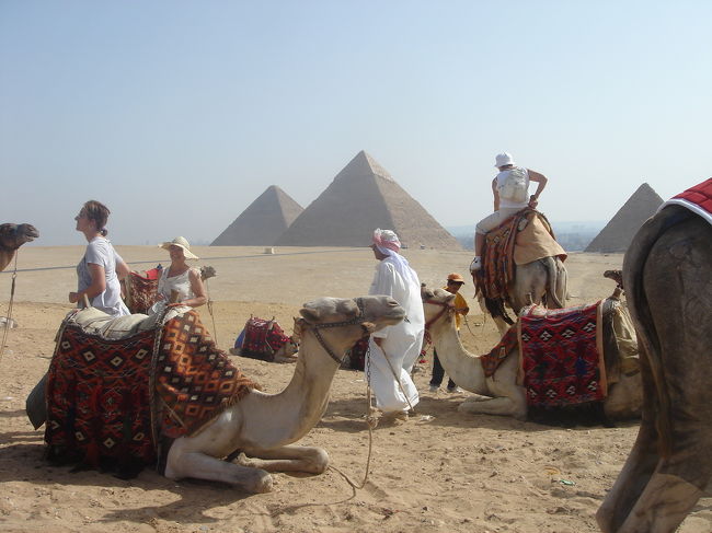 旅行に行く前はラクダは乗らなくてもいいか〜なんて思ってたりしたのが、ピラミッドを背景に本物を見るとつい乗りたくなっちゃって挑戦。別料金10ドルで、なんでも落馬？の際は保険適用外らしい。<br />ラクダが立ち上がる際がすごく揺れてビックリです。