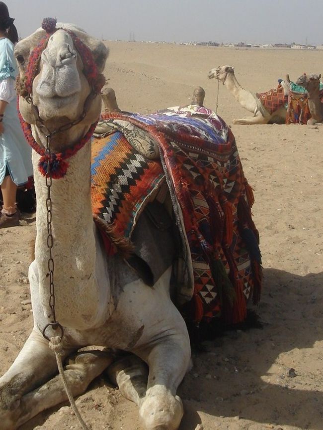 とても可愛い。